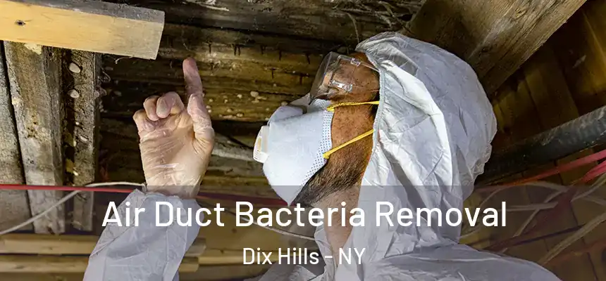  Air Duct Bacteria Removal Dix Hills - NY