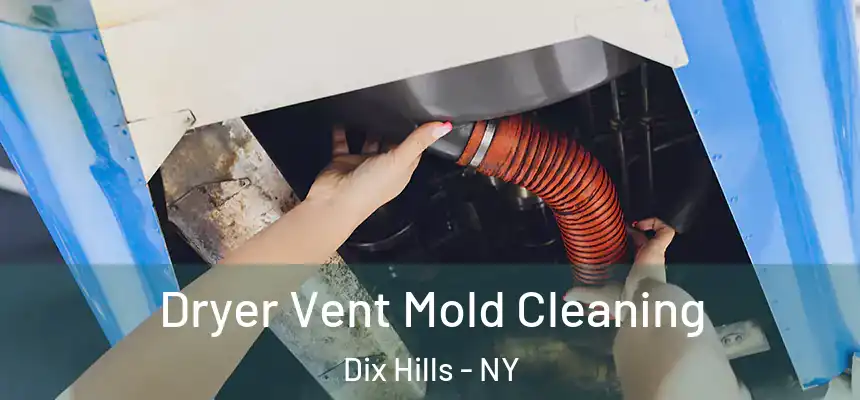  Dryer Vent Mold Cleaning Dix Hills - NY