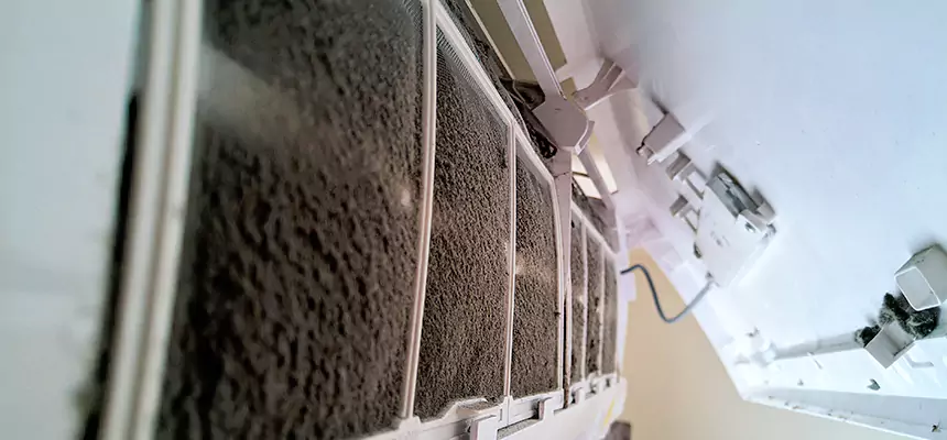 Preventive Air Duct Bacteria Removal in Dix Hills