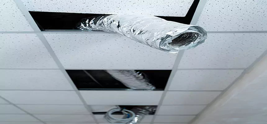 Our Air Duct Pet Hair Removal Services in Dix Hills, NY