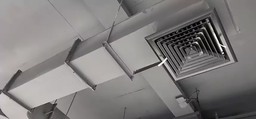 Restorative Allergy Relief Vent Cleaning – Coil, Blower & Housing Detail in Dix Hills