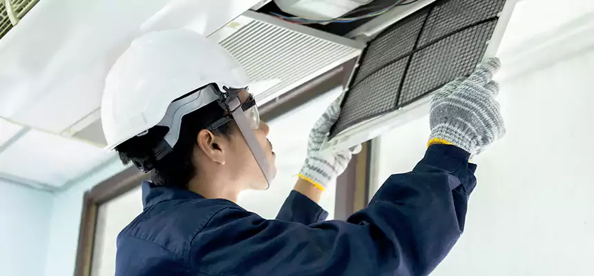 Our Mold & Mildew Removal from Air Ducts Services in Dix Hills, NY