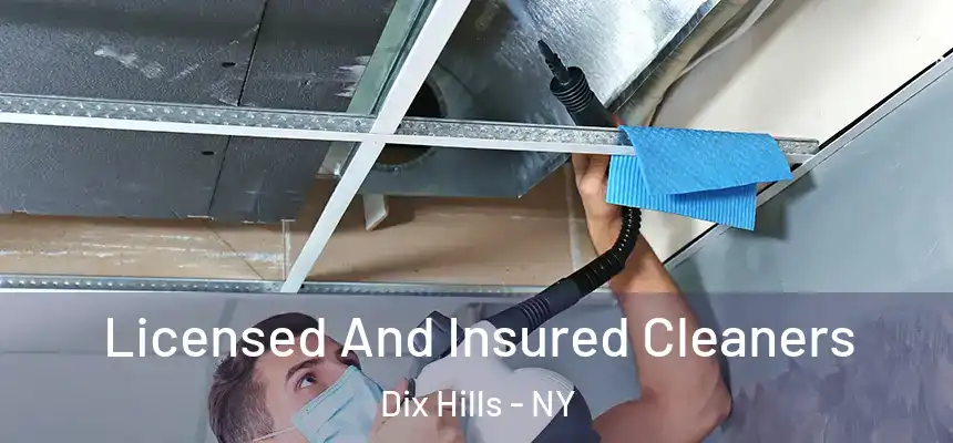 Licensed And Insured Cleaners Dix Hills - NY