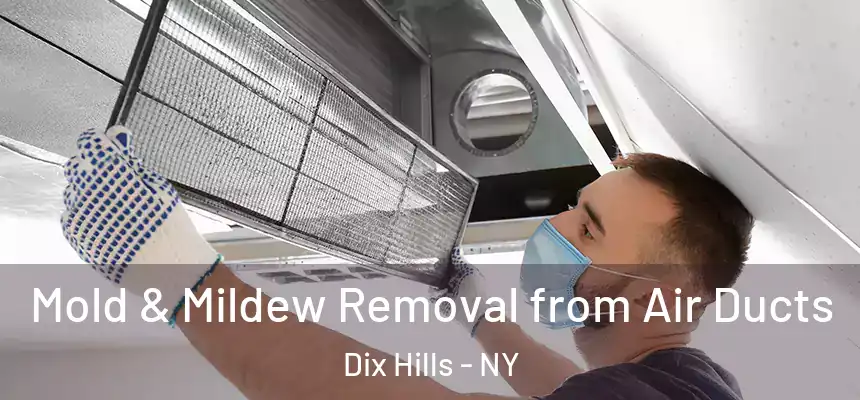 Mold & Mildew Removal from Air Ducts Dix Hills - NY
