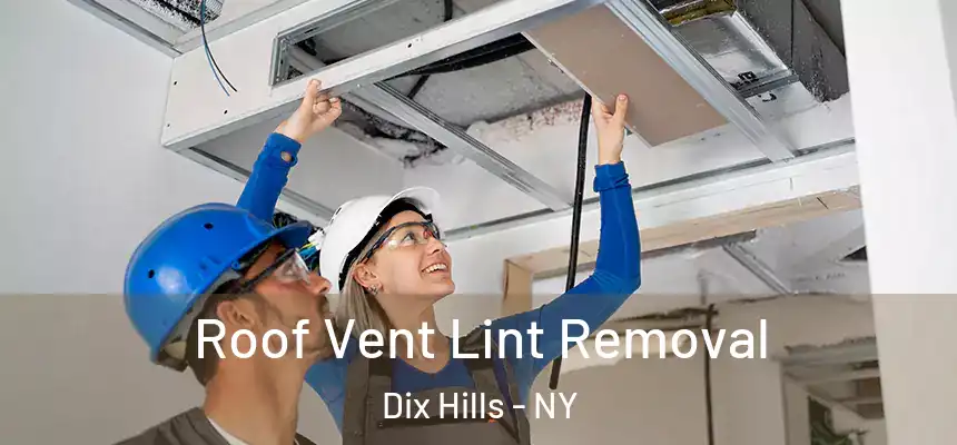  Roof Vent Lint Removal Dix Hills - NY