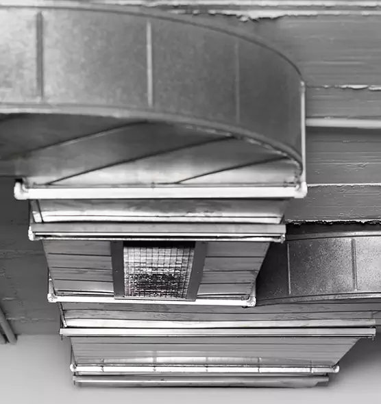 Professional Air Duct Pest Removal in Dix Hills, NY