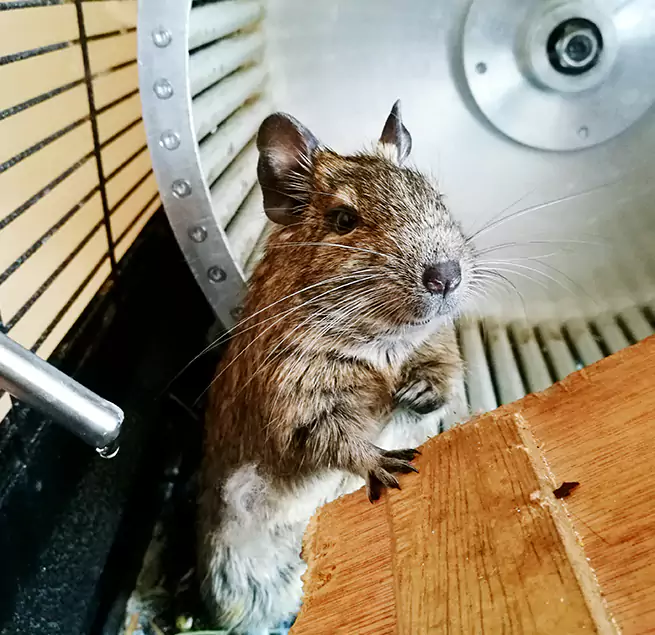 Why Homeowners & Businesses Trust Us Dix Hills, NY