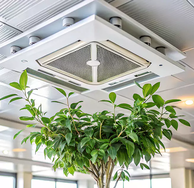 Why Homeowners & Businesses Trust Us in Dix Hills, NY