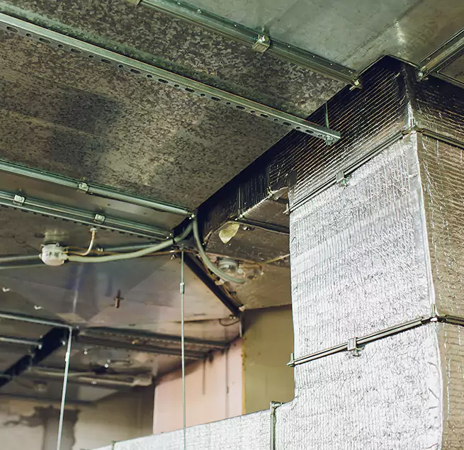 Why Homeowners & Businesses Trust Us in Dix Hills, NY?